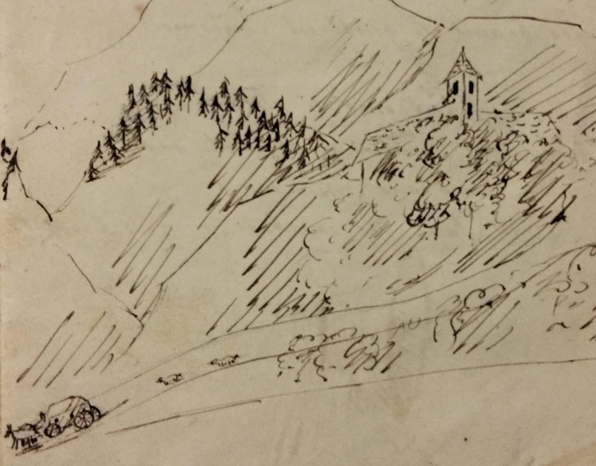 Mudança com uma mula